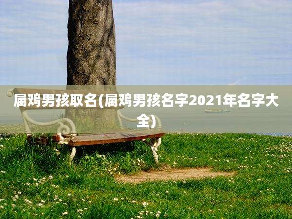 属鸡男孩取名(属鸡男孩名字2021年名字大全)