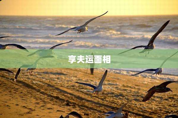 享夫运面相
