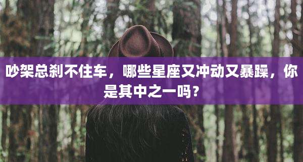 吵架总刹不住车,哪些星座又冲动又暴躁,你是其中之一吗?