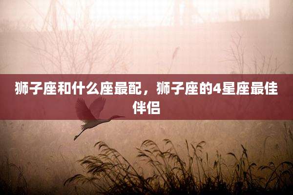 狮子座和什么座最配,狮子座的4星座最佳伴侣