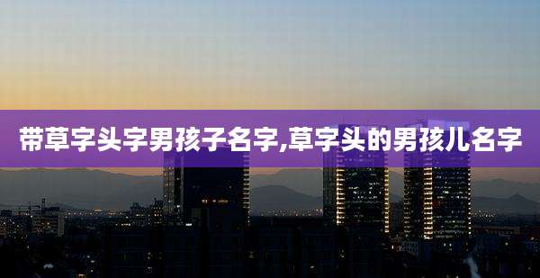带草字头字男孩子名字,草字头的男孩儿名字