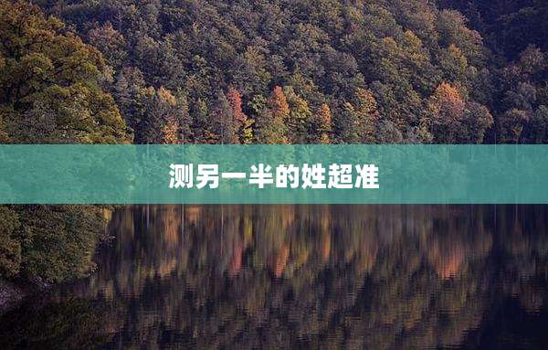 测另一半的姓超准
