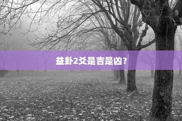 益卦2爻是吉是凶？