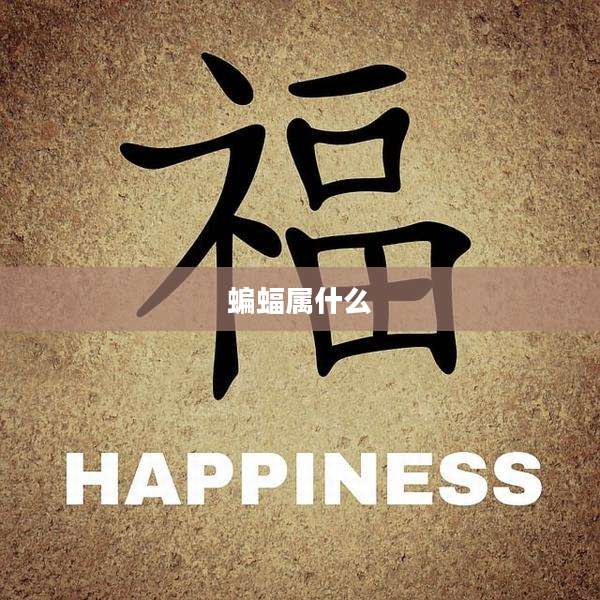 蝙蝠属什么