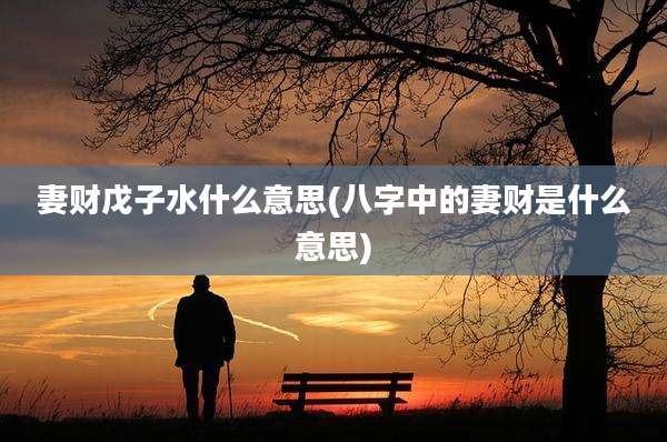 妻财戊子水什么意思(八字中的妻财是什么意思)