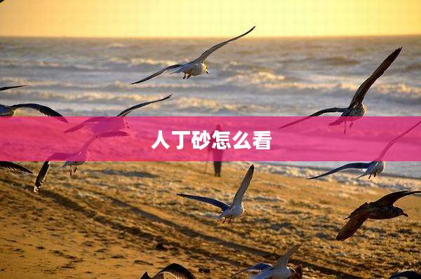 人丁砂怎么看