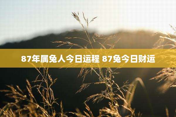 87年属兔人今日运程 87兔今日财运