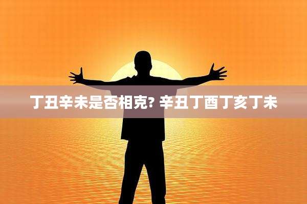 丁丑辛未是否相克? 辛丑丁酉丁亥丁未