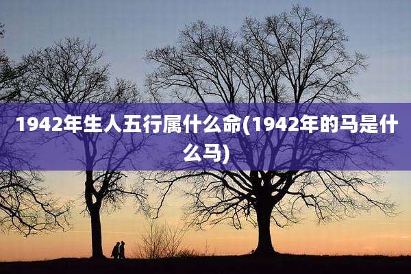 1942年生人五行属什么命(1942年的马是什么马)