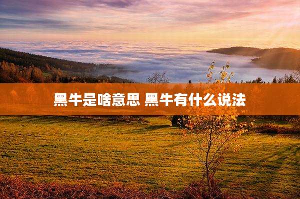 黑牛是啥意思 黑牛有什么说法