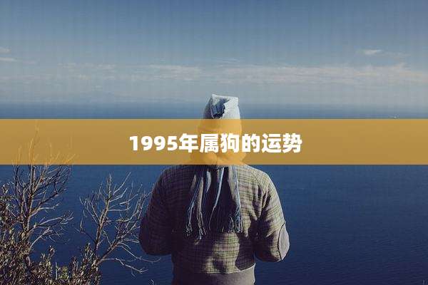 1995年属狗的运势