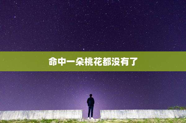 命中一朵桃花都没有了