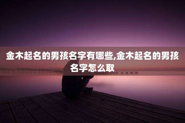 金木起名的男孩名字有哪些,金木起名的男孩名字怎么取