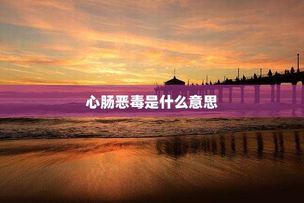 心肠恶毒是什么意思