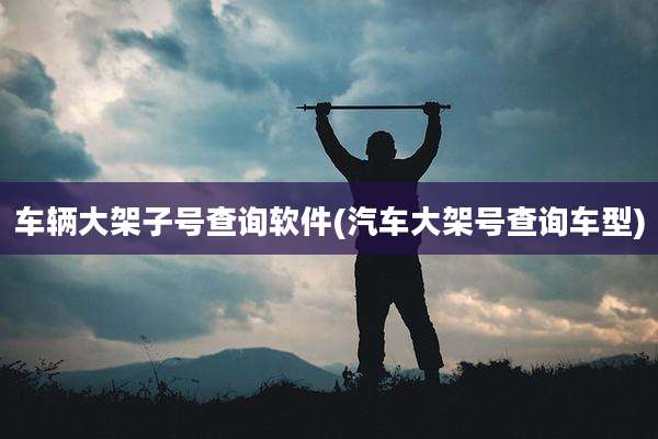 车辆大架子号查询软件(汽车大架号查询车型)