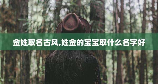 金姓取名古风,姓金的宝宝取什么名字好