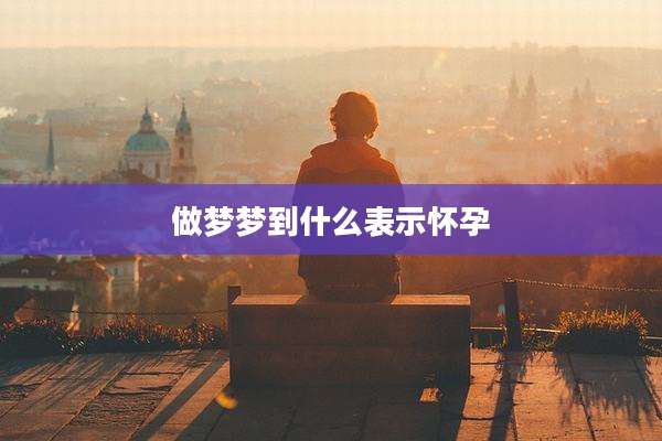 做梦梦到什么表示怀孕