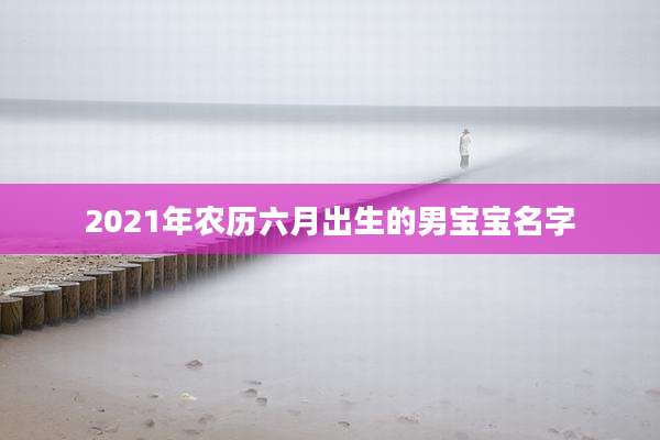 2021年农历六月出生的男宝宝名字