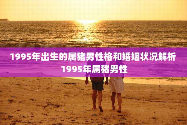 1995年出生的属猪男性格和婚姻状况解析 1995年属猪男性