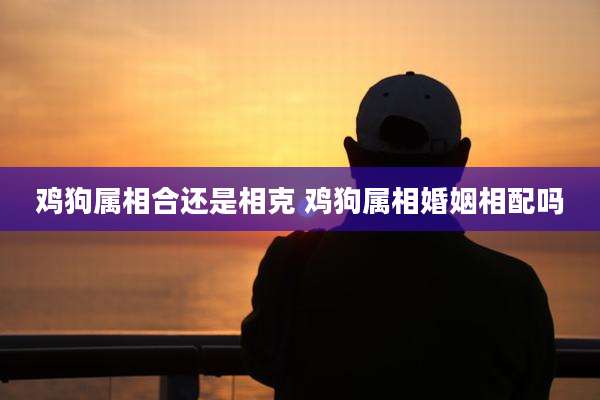 鸡狗属相合还是相克 鸡狗属相婚姻相配吗