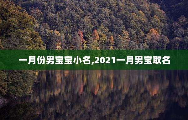 一月份男宝宝小名,2021一月男宝取名