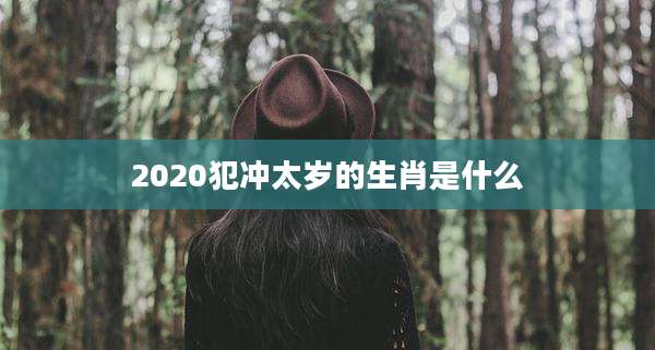 2020犯冲太岁的生肖是什么