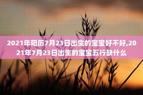 2021年阳历7月23日出生的宝宝好不好,2021年7月23日出生的宝宝五行缺什么