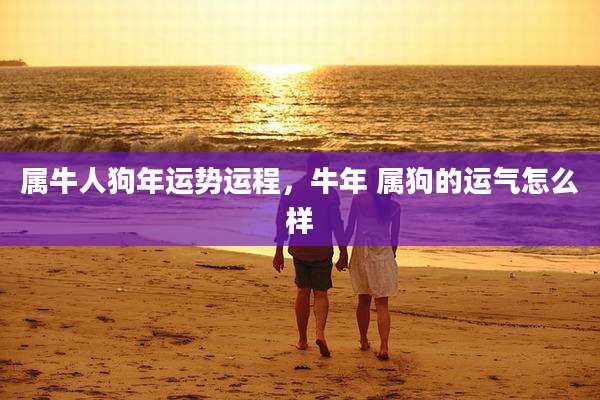 属牛人狗年运势运程,牛年 属狗的运气怎么样