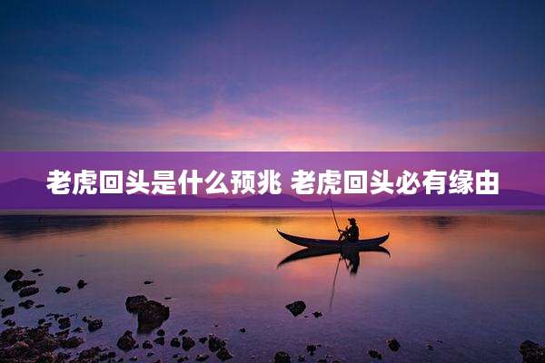 老虎回头是什么预兆 老虎回头必有缘由