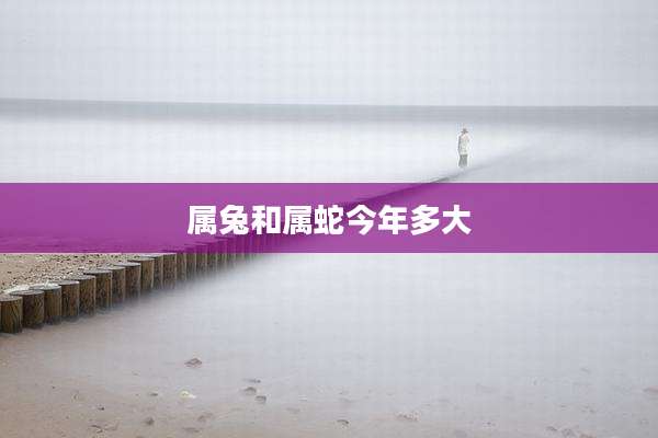 属兔和属蛇今年多大
