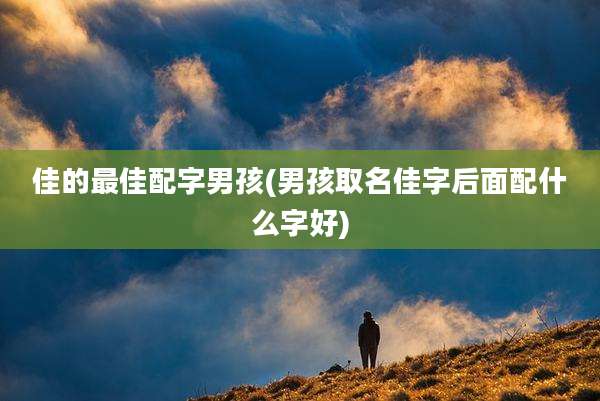佳的最佳配字男孩(男孩取名佳字后面配什么字好)
