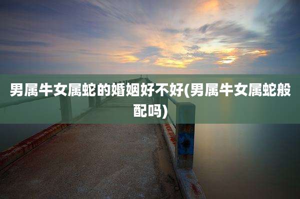 男属牛女属蛇的婚姻好不好(男属牛女属蛇般配吗)