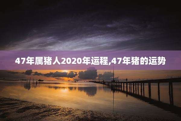 47年属猪人2020年运程,47年猪的运势