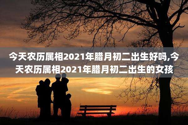 今天农历属相2021年腊月初二出生好吗,今天农历属相2021年腊月初二出生的女孩