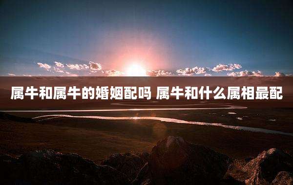 属牛和属牛的婚姻配吗 属牛和什么属相最配