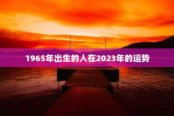 1965年出生的人在2023年的运势
