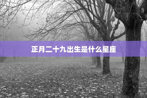 正月二十九出生是什么星座