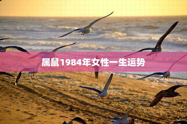 属鼠1984年女性一生运势