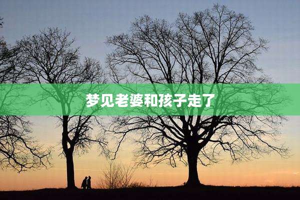 梦见老婆和孩子走了