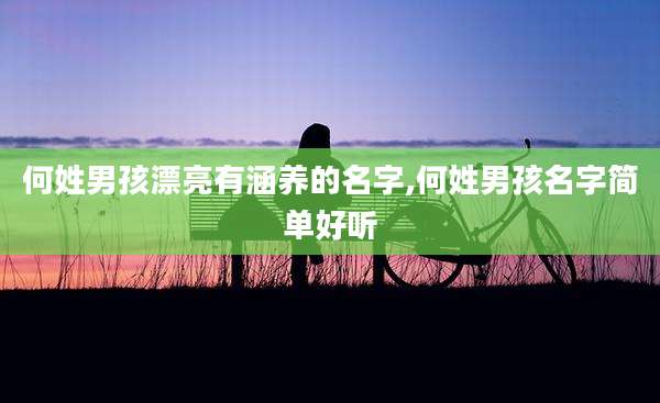 何姓男孩漂亮有涵养的名字,何姓男孩名字简单好听