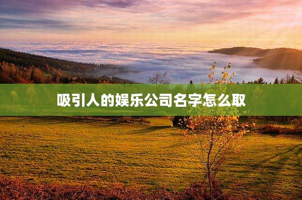 吸引人的娱乐公司名字怎么取