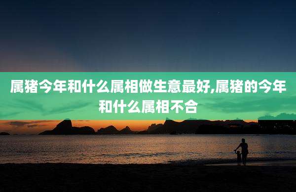 属猪今年和什么属相做生意最好,属猪的今年和什么属相不合