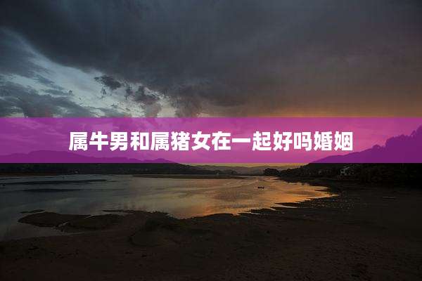 属牛男和属猪女在一起好吗婚姻