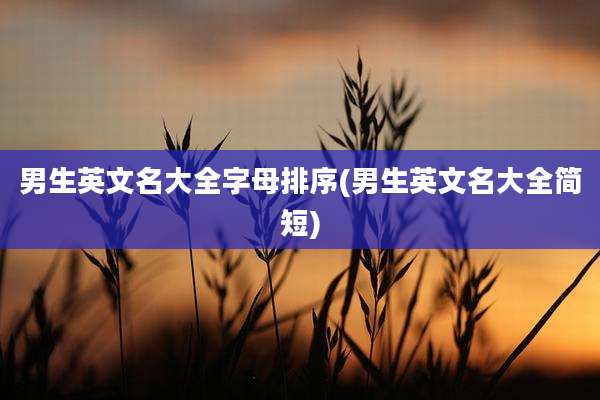 男生英文名大全字母排序(男生英文名大全简短)