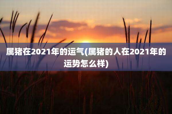 属猪在2021年的运气(属猪的人在2021年的运势怎么样)