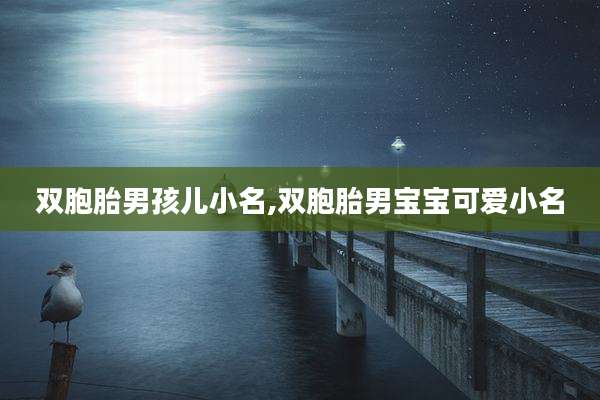 双胞胎男孩儿小名,双胞胎男宝宝可爱小名