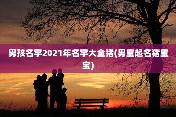 男孩名字2021年名字大全猪(男宝起名猪宝宝)
