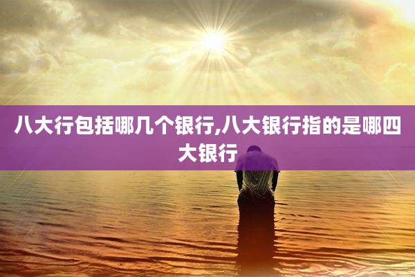 八大行包括哪几个银行,八大银行指的是哪四大银行