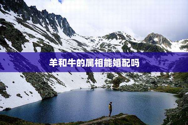羊和牛的属相能婚配吗
