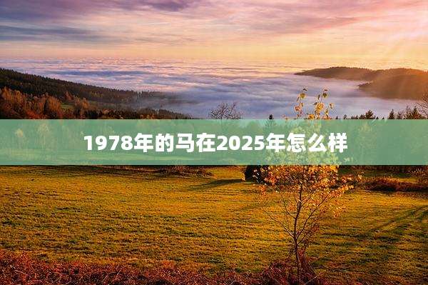 1978年的马在2025年怎么样